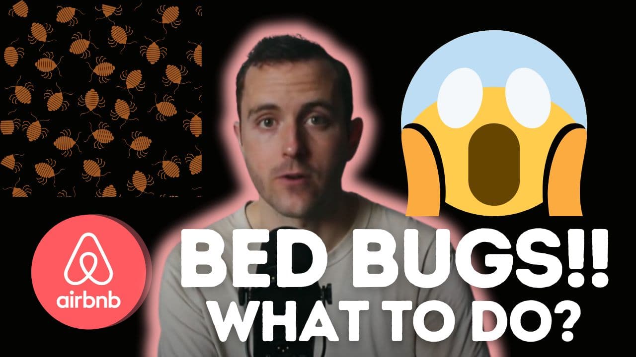 BED BUGS in an Airbnb?! (What to do!)